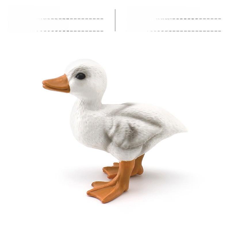 Childrens Pvc Bird Figurines Set For Farm Scene Decor And Learning Activities