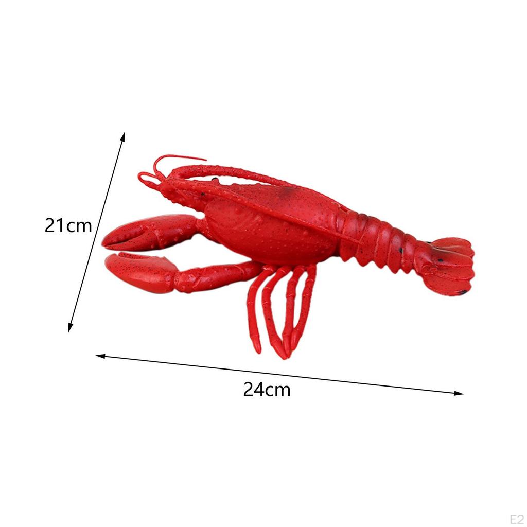 Lebensechte Künstliche Hummerfigur Ornament Lehrmittel Heimdekoration Figur Meer