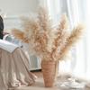 Natural Air-Dried Reed and Cattail Flower Bouquet for Floor Vase Decoration