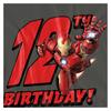 Iron Man Womens/Ladies 12th Birthday T-Shirt