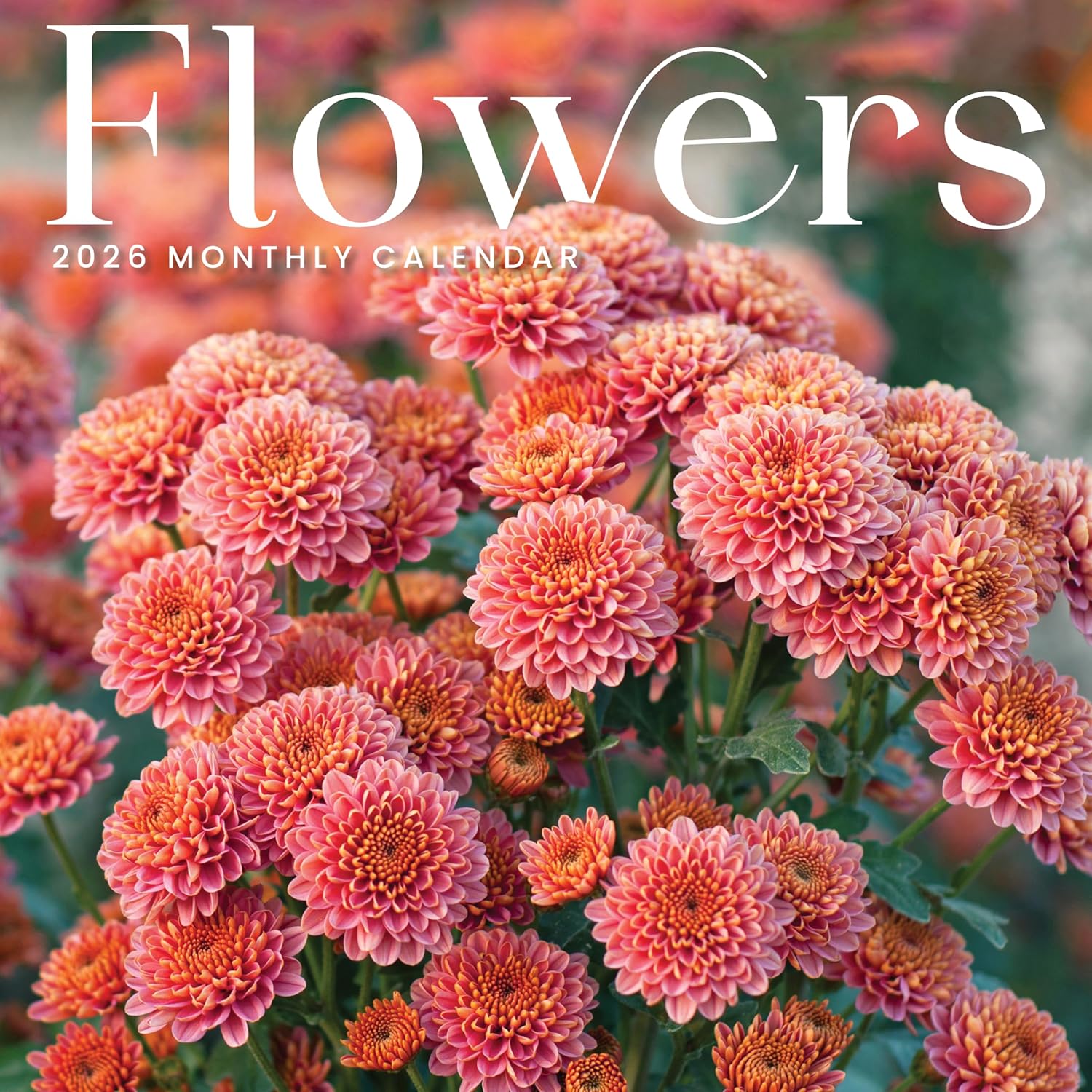 Mushroom Calendar 2026 | Marvelous Mushrooms Wall Calendar | 12  x 24  | Marble City Press | Fungi and Foraging, Fungus ID Facts, Mycology Tips | Flowers