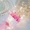 Pink Carnation LED Mood Light Bouquet Parents' Day Teachers' Day Gift for Parents Flower Light
