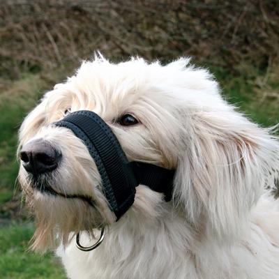 soft muzzle for barking