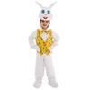 Childrens Dance Easter Cosplay Costume With Soft Fabric For Kids Ages 3 To 8