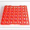 Eco-Friendly Shockproof 30-Count Plastic Egg Tray - Durable & Anti-Fall for Long-Distance Transport
