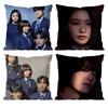 Hot Korea TV B-Bitch X R-Rich Pillow Case Anti-dustmite Pillowcase Invisible zipper silky short plush Sofa cushion cover