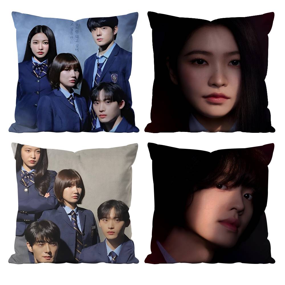 Hot Korea TV B-Bitch X R-Rich Pillow Case Anti-dustmite Pillowcase Invisible zipper silky short plush Sofa cushion cover