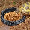 Reptile Feeding Dish Realistic Stone-Like Reptile Water Dish Food Bowl Terrarium Reptile Feeding Corner Bowl for Bearded Dragons Lizard Frog Gecko