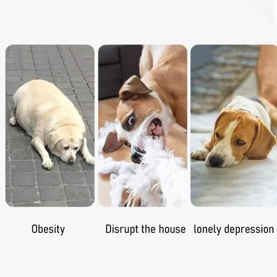 Pet Toy with Sound-producing Design Durable Latex Chew Toy Teeth Grinding And Gum Massage Toy for Small