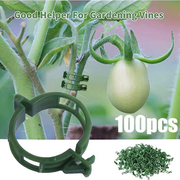 Lot de 100 clips de support pour plantes 2,5 cm - vert, clips ventilés résistants aux intempéries