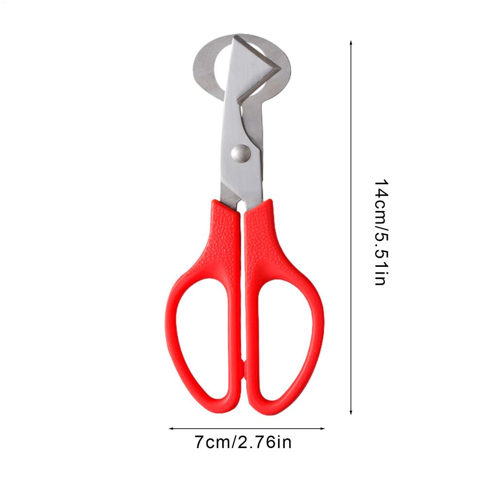 Forbici per Uova di Piccoli Uccelli (Piccioni, Quaglie) Taglio Aperto Guscio d'Uovo Separatore Guscio d'Uovo Uccello Tagliasigari Apribottiglie Pinza Strumenti da Cucina