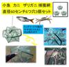 Fishing Fishing Net Set of Great for Catching Small and More Gear, 3, Foldable, Compact, Shrimp, Crab, Crayfish, Fish,