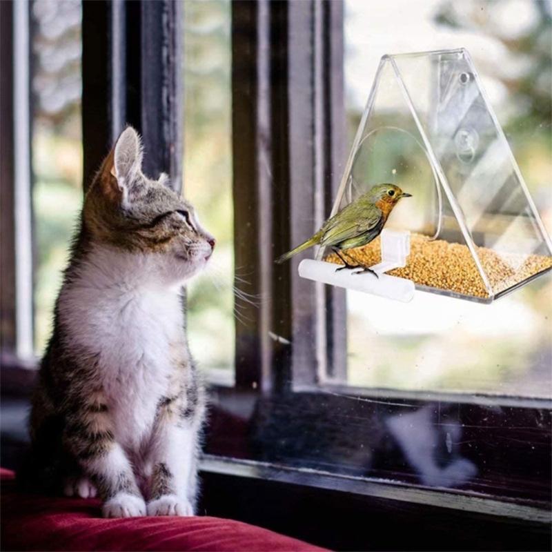 Clear Acrylic Bird Feeder with Window Suction Cup Hanging Chain Small Outdoor Bird Feeder for Wild Birds Finches