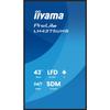 IIYAMA 43' LED