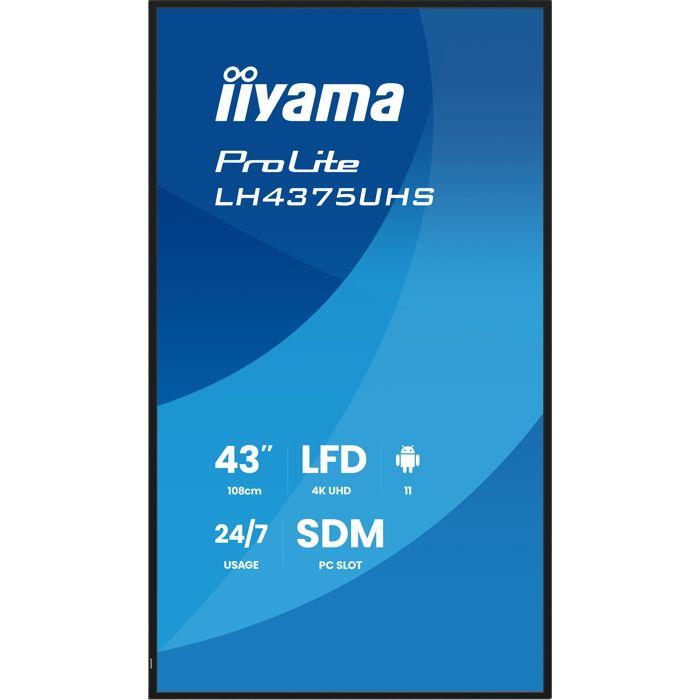 IIYAMA 43' LED