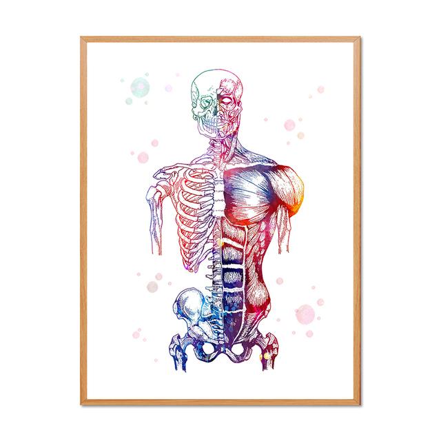 Human Skeleton Medical Anatomy Diagram Decorative Painting Limbs Structure Diagram Poster Room Wall Art Prints Modern Home Decor No Frame