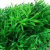 Aquarium Fish Tank Accessories Decor Green Grass Artificial Plastic Water Plant