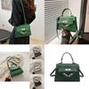 Trendy Summer 2024 Fashion Small Crossbody Bag Stylish Pu Leather Handbag For Daily Use In Black Blue Silver Green