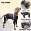 Premium Polyester Dog Clothes For Halloween Transform Your Dog Into A Cool Skeleton