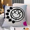 Famous Punk Band Blink-182 Personalized Pillow Cover Kids Bedroom Wild Party Decor Pillowcase Kid Birthday Shower Gift