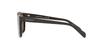 Emporio Armani Sunglasses EA4193F 519773 Shiny Grey 31
