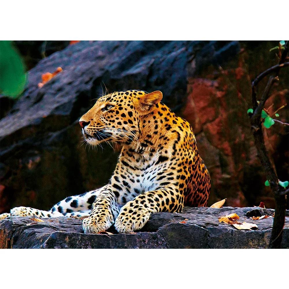 MaxRenard Jigsaw Puzzle 1000 Pieces for Adult Animal Leopard Environmentally Friendly Paper Christmas Gift Toy