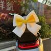 Luna Sunny Day Cute Two-Tone Electric Vehicle Bow & Sticker Accessories