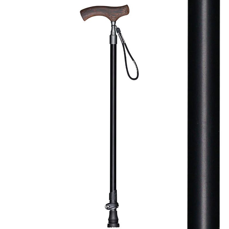Pioneer Retractable Trekking Pole