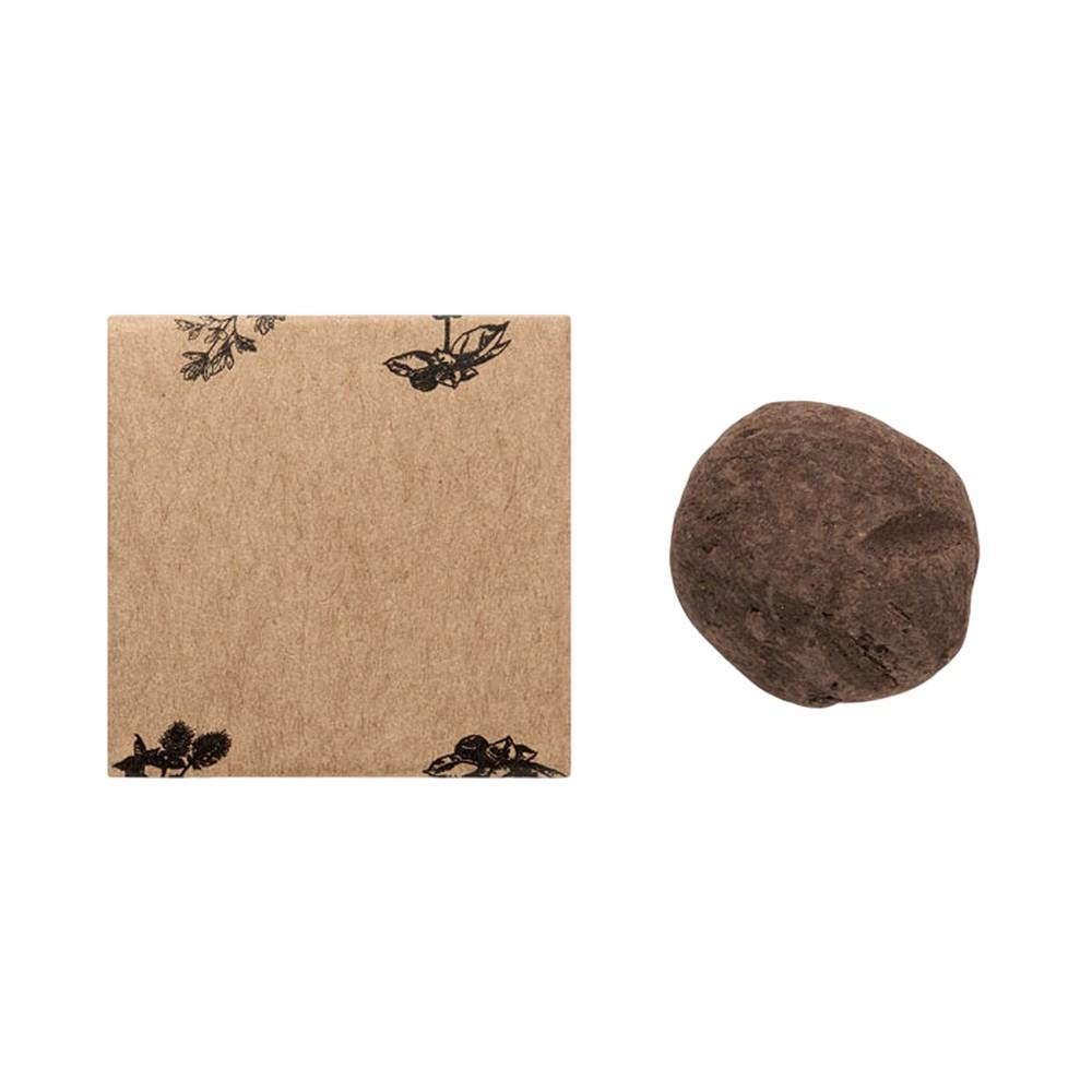 MidOcean Bombi III Herb Bomb Seed Growing Kit