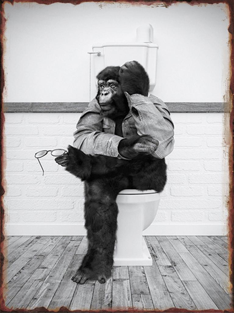 Toilet Animal Funny Metal Tin Signs Home Bathroom Wall Art Decoration Public Lavatory Plaques Restroom Plate Background Poster