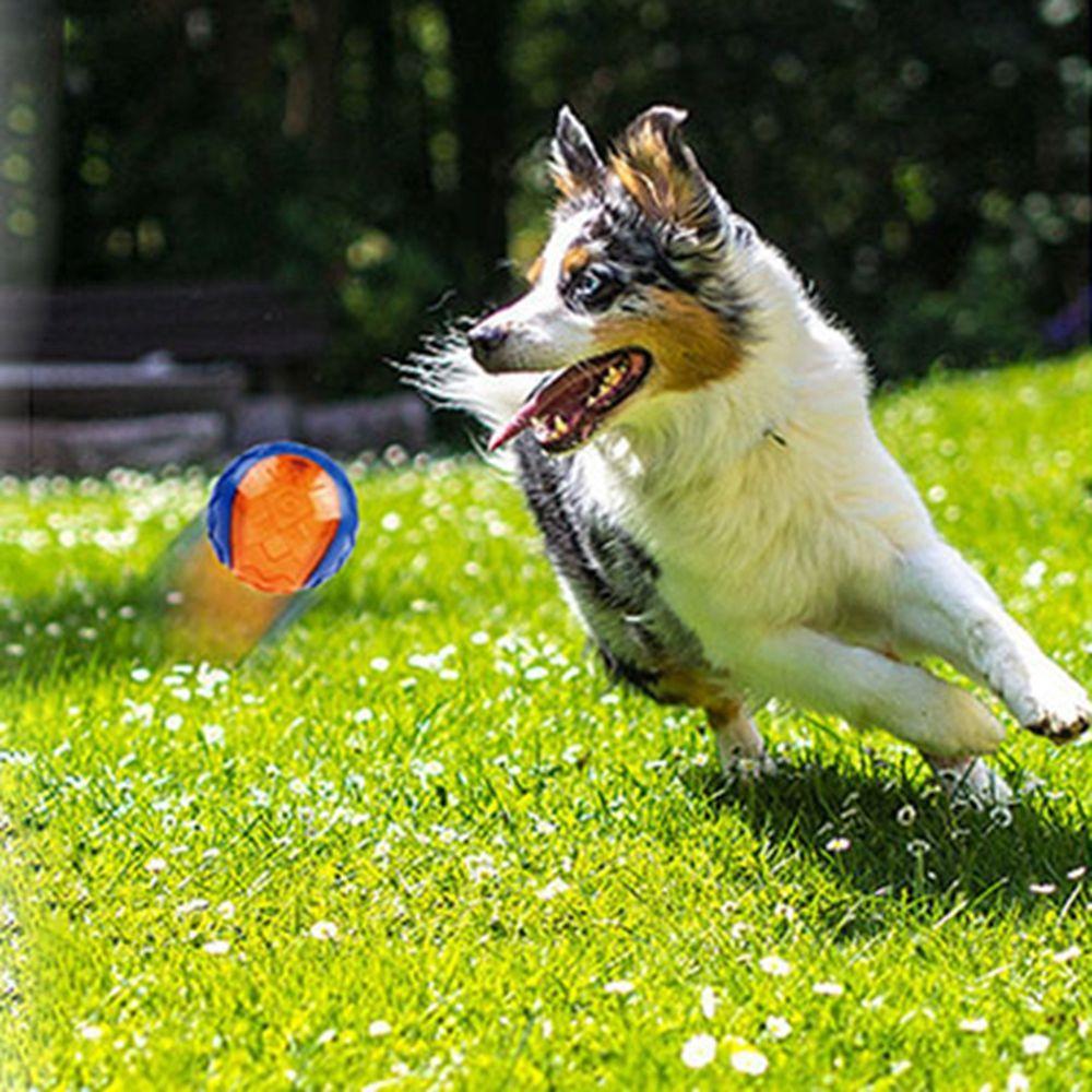 Squeaky Pet Supplies Relieve Boredom Chew Toys TPR Elasticity Ball Sounding Toy Dog  Toy Molar Ball