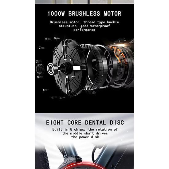 AKEZ 1000W model Aluminum Alloy Electric Bike 21 Speed Electric Bicycle For Adult 29inch Mountain ebike 48v13AH Lithium Battery.