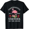 Grammingo Like A Normal Grandma Only More Awesome Gift Unisex T-Shirt