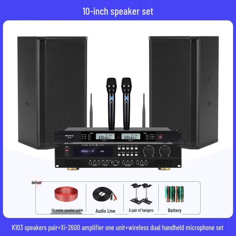 QIASHENG Professional Conference Room & Stage Audio System CN plug (adapter included)