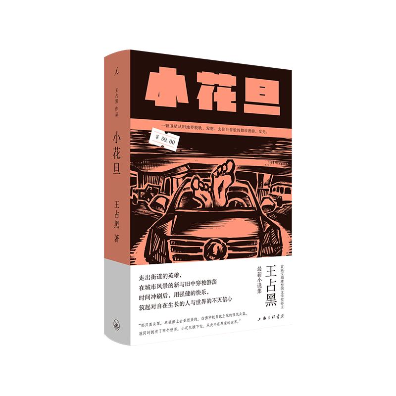 Xiao Huadan: Wang Zhanhei Novel Collection