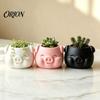 Succulents Planter Pot 3D Printed Pig Shaped Flowerpot, Decorative for Herb Petg Plants, Animal Mini Flower Holder Indoor Outdoor Small Desktop