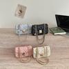 Women's 2026 Summer Korean Style Chain Small Crossbody Bag