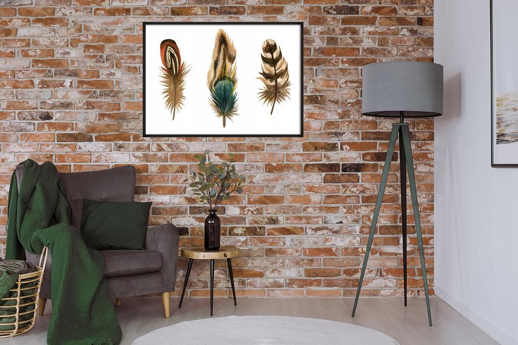 Picture poster In a frame 43x33 cm Feathers P935