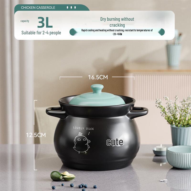 Zhi Shi High-Temperature Ceramic Claypot