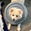 Collare Cono Morbido Regolabile a Ciambella con Coulisse Alternativa al Collare a Cono per Cani e Gatti di Taglia Grande, Media, Piccola Dopo l'Intervento