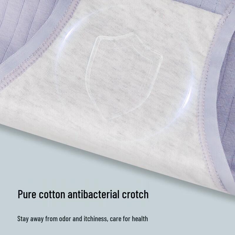 LangSha Women's Plus-Size High-Waist Cotton Underwear 3-Pack