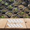 Moisture Retention Technology in 10 Pack of Mushroom Cultivation Bags