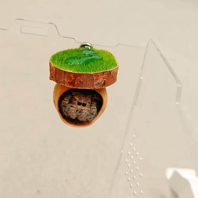 Mini Magnetic Spider Hide Cave Handmade Jumping Spider Enclosure Natural Habitat Decoration for Spider Lovers