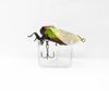 Jackson Namazemi Cicada Floating Lure TTB (4995)