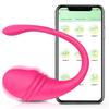 Wireless Bluetooth APP Vibrator Female Remote Control Egg Clitoris Stimulator G Spot Massager Sex Toys for Women Adults Panties