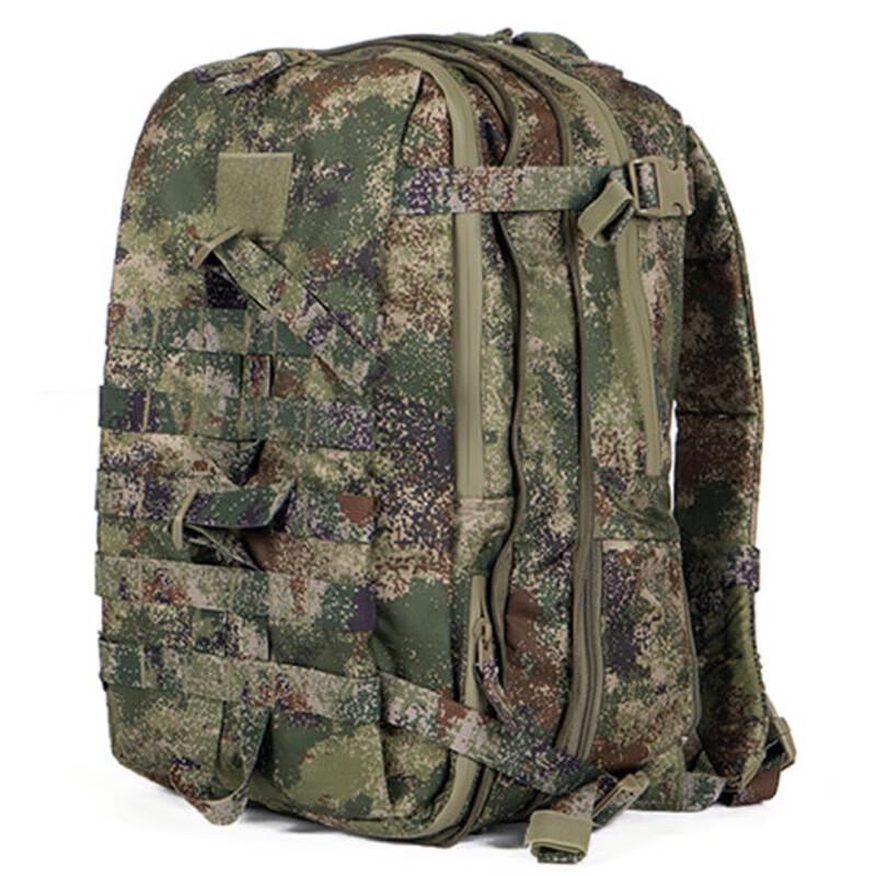 Lishi Outdoor Tactical Backpack
