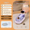 Portable Handheld LCD LED Garment Steamer Iron