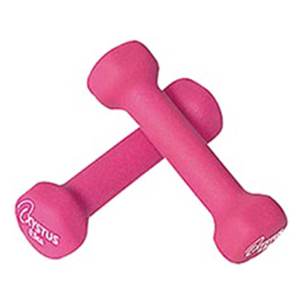TOEI LIGHT Rubber coat dumbbell 0.5 H9054 0.5kg 2 pieces