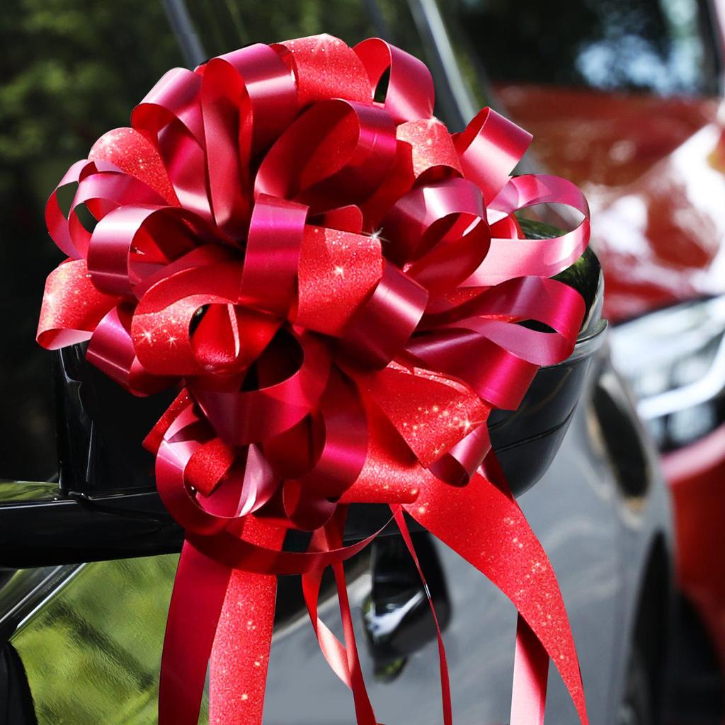 Wedding Car and Room Decor Set with Ribbons and Butterflies