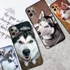Animal Husky Puppy Phone Case For OPPO Reno 8 7 Lite 8T 11 12 13 14 14F 10 Pro OPPO Find X8 X6 X5 X9 Pro Cover